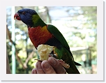 At_the _zoo (24) * 2048 x 1536 * (1.37MB)